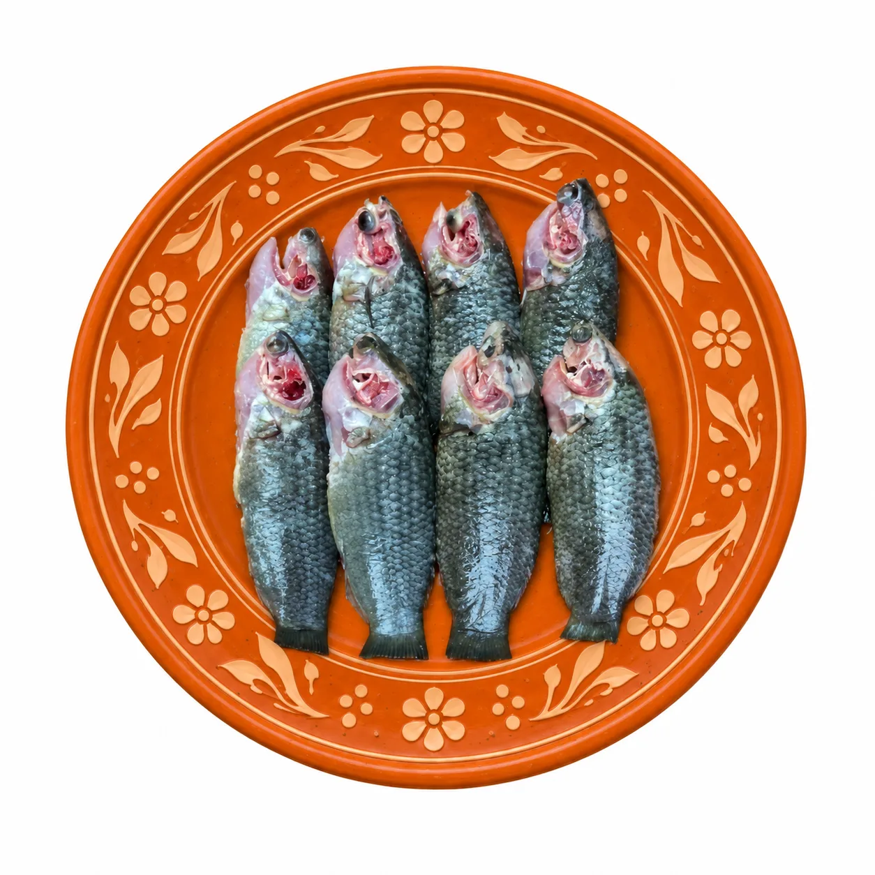 দেশি কই মাছ
